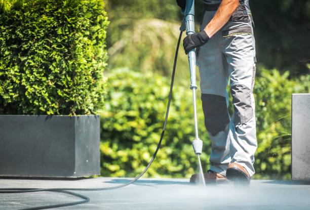 Best Soft Washing  in Moreno Valley, CA